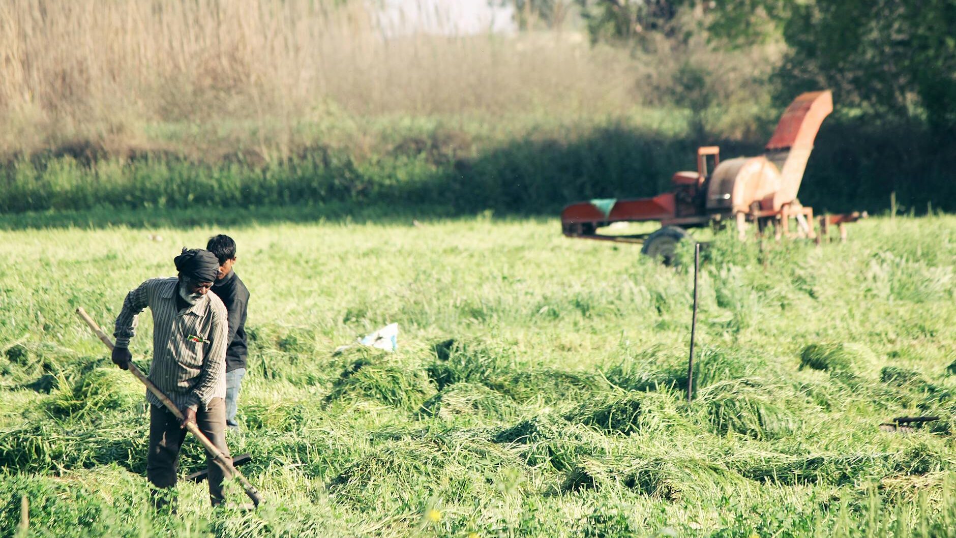 two men standing on green grass field